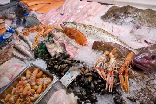Lisa Elmqvist fish counter